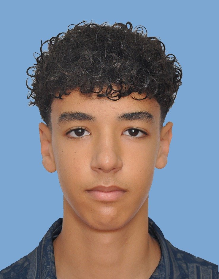 Ihab El Malouli